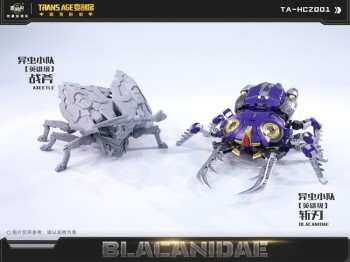 Cang-Toys TA-HCZ001 Transage Blacanidae