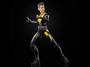 X-Men 20th Anniversary Marvel Legends Deadpool And Negasonic Teenage Warhead