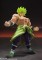 Bandai Spirits Dragon Ball Z S.H.Figuarts Super Saiyan Broly (Full Power)