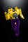 X-Transbots Gravedigger MX-44Y Yellow G2 Version