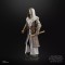 STAR WARS The Black Series Jedi Temple Guard