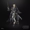 STAR WARS The Black Series Visions The Ronin