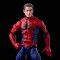 Marvel Legends Renew Your Vows Amazing Spider-Man and Spinneret 2-Pack