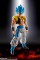 S.H.Figuarts Dragonball Z Super Saiyan God Super Saiyan Gogeta