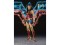 S.H. Figuarts Wonder Woman 1984