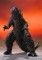 S.H.MonsterArts Godzilla vs. Kong: Godzilla