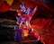 War for Cybertron Kingdom Cyclonus