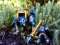 BOTCON EXCLUSIVE Archecore ARC-07 Ursus Guard Starfall Raider Crystal Wolf Freki And Sturla 1:35 SCALE