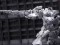Cang-Toys TA-HYL004 Brontosolid Hero Class
