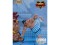 Storm Collectibles Street Fighter II E. Honda 1:12 Scale Action Figure [Nostalgia Version]