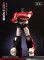 DX9 D21 Red Storm Alternate Color Reissue