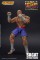 Storm Collectibles Street Fighter II Sagat 1:12 Scale Action Figure