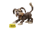 Boss Fight Studio SPROCKET Fraggle Rock