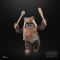 Star Wars: The Black Series 6" Wicket (Return of the Jedi)