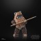 Star Wars: The Black Series 6" Wicket (Return of the Jedi)