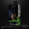 Star Wars: The Black Series 6" Wicket (Return of the Jedi)