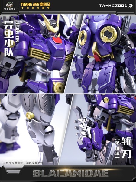 Cang-Toys TA-HCZ001 Transage Blacanidae