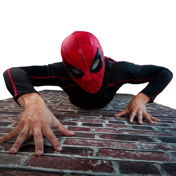 Marvel Legends Series Spider-Man Electronic Expressive Mask