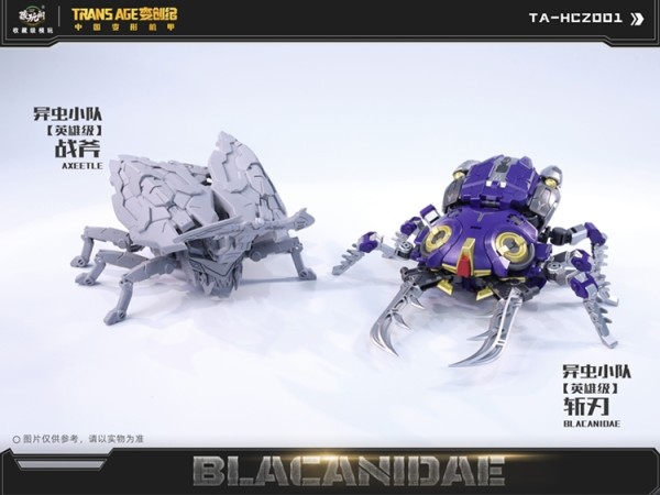 Cang-Toys TA-HCZ001 Transage Blacanidae